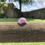 AlienVisitor's Avatar