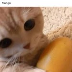 Stephanys_AJ's Avatar